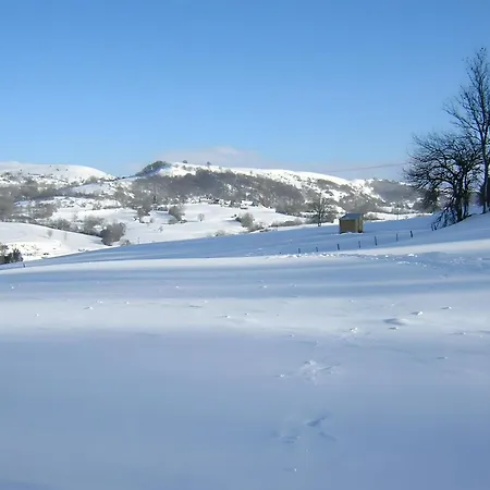 Holiday home Au Coeur Du Cezallier Cantalien